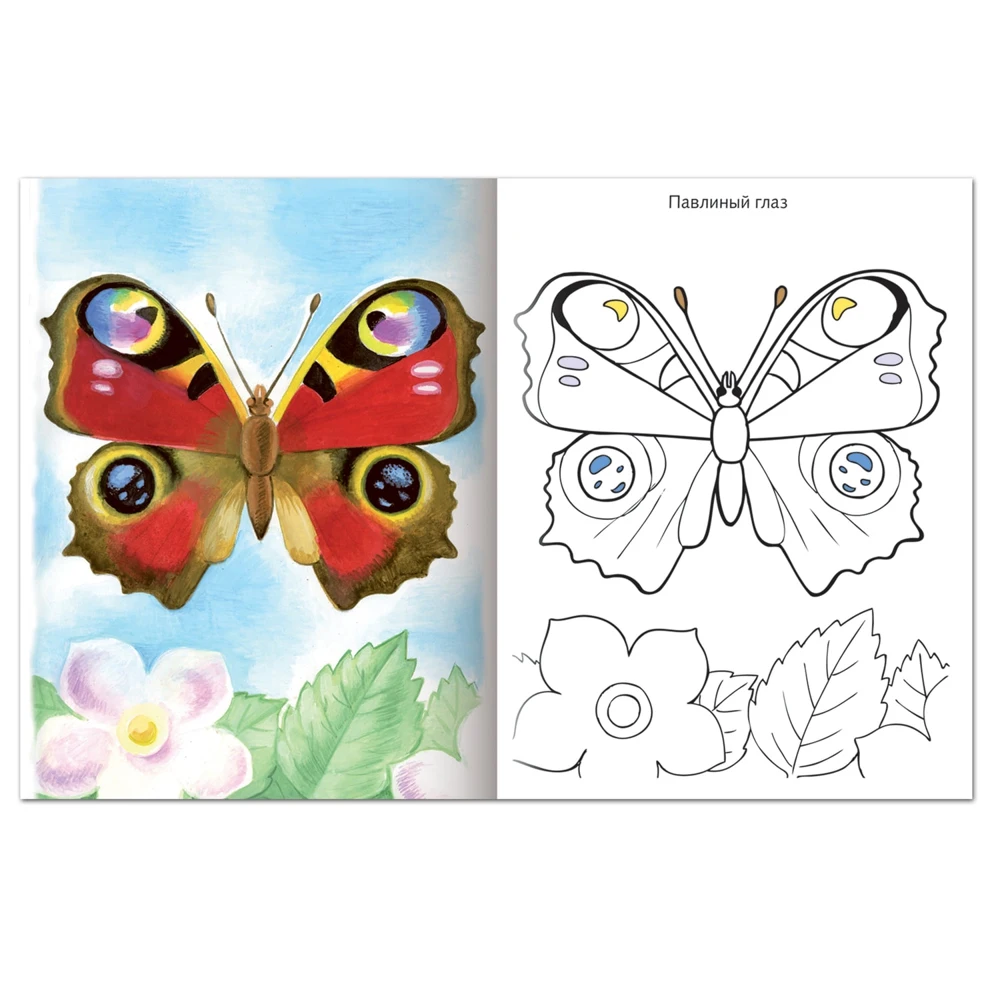 Coloring book A5 8 liters Hatber first lessons butterflies 8pc5 10352 R006703 Set Art Supplies Office School | Канцтовары для офиса