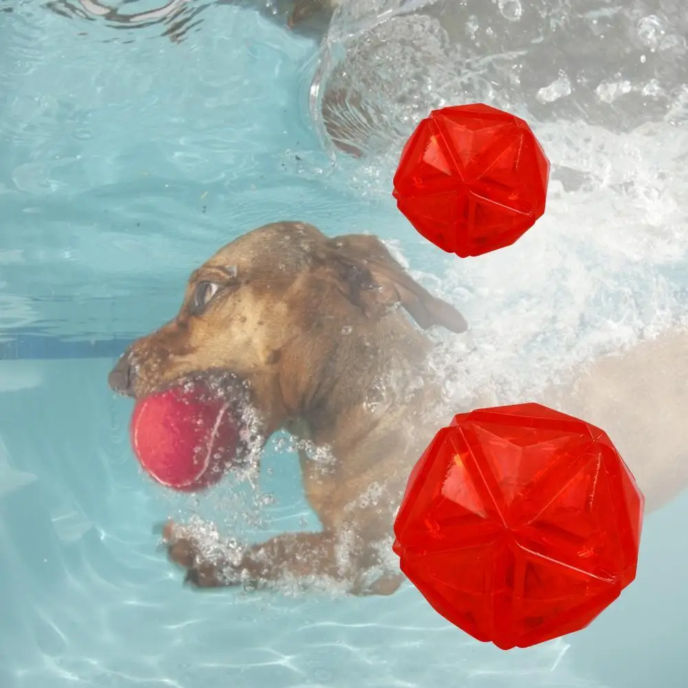 

Funny Pet Molar Toy Attractive Interactive Toy Interactive Buoyancy Ball Toy