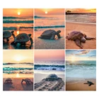 Алмазная 5d картина с черепашкой, мозаика сделай сам из круглых страз, вышивка крестиком, закат, алмазная вышивка побережье, домашний декор