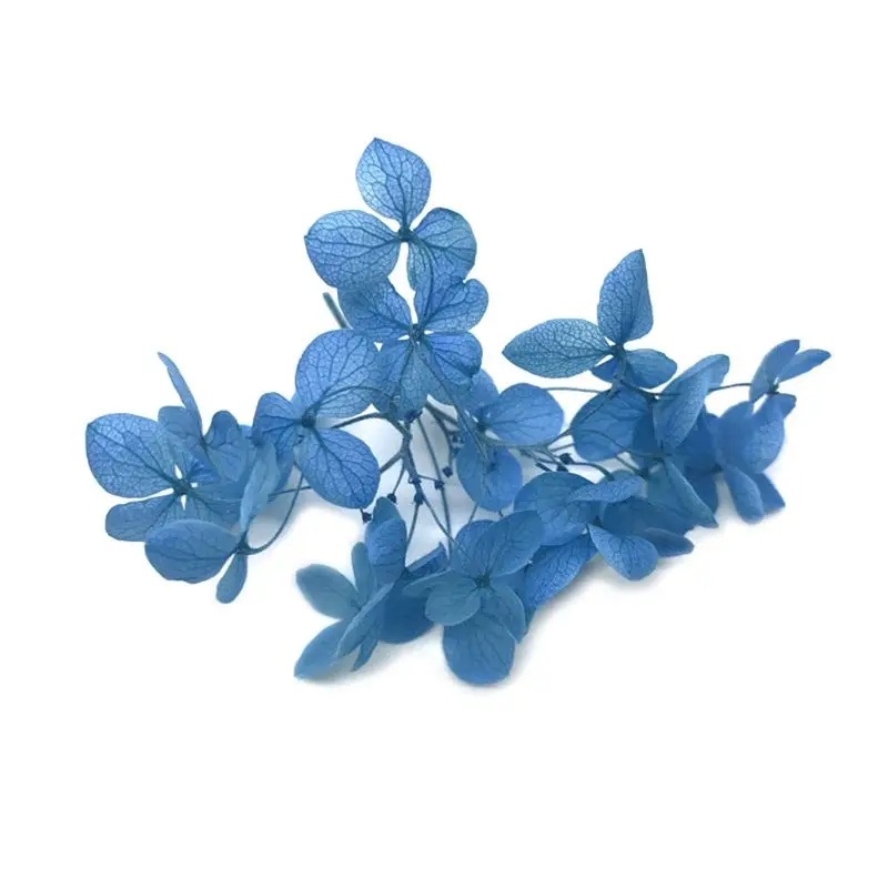 1 коробка сухого цветка DIY изделия из эпоксидной смолы ручной работы наполнитель