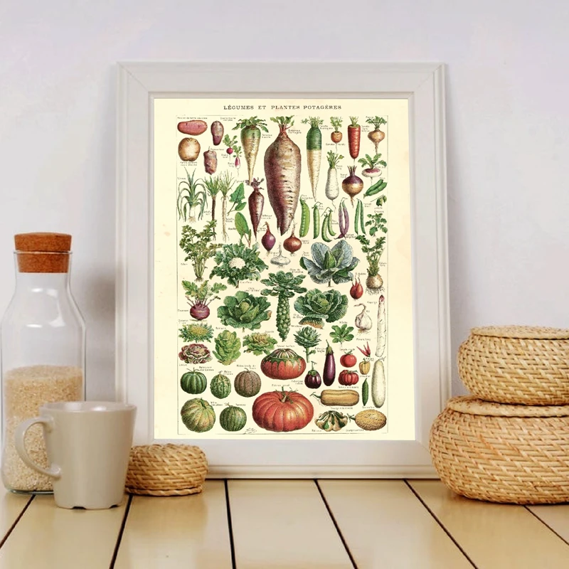 Французский вариант старинный растительный ВИНТАЖНЫЙ ПЛАКАТ с принтом