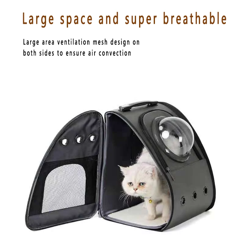 

Pet Products