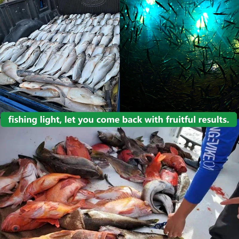 Подводный рыболовный светильник. Светящийся док светильник самовзвешенный