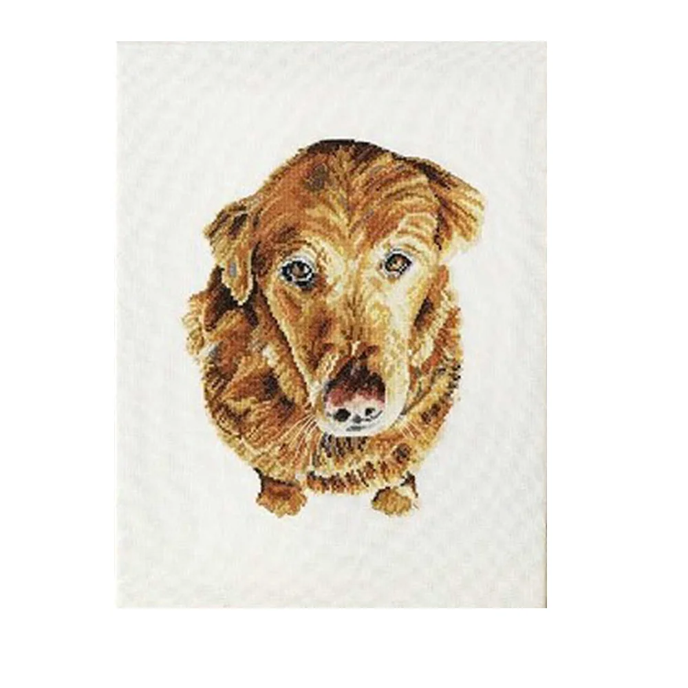 

ZZ5176 Christmas Decoration Cross Stitch Kits Home Decor Painting Picture Needlework Craft Supplies Paint Fabric Home Supplies