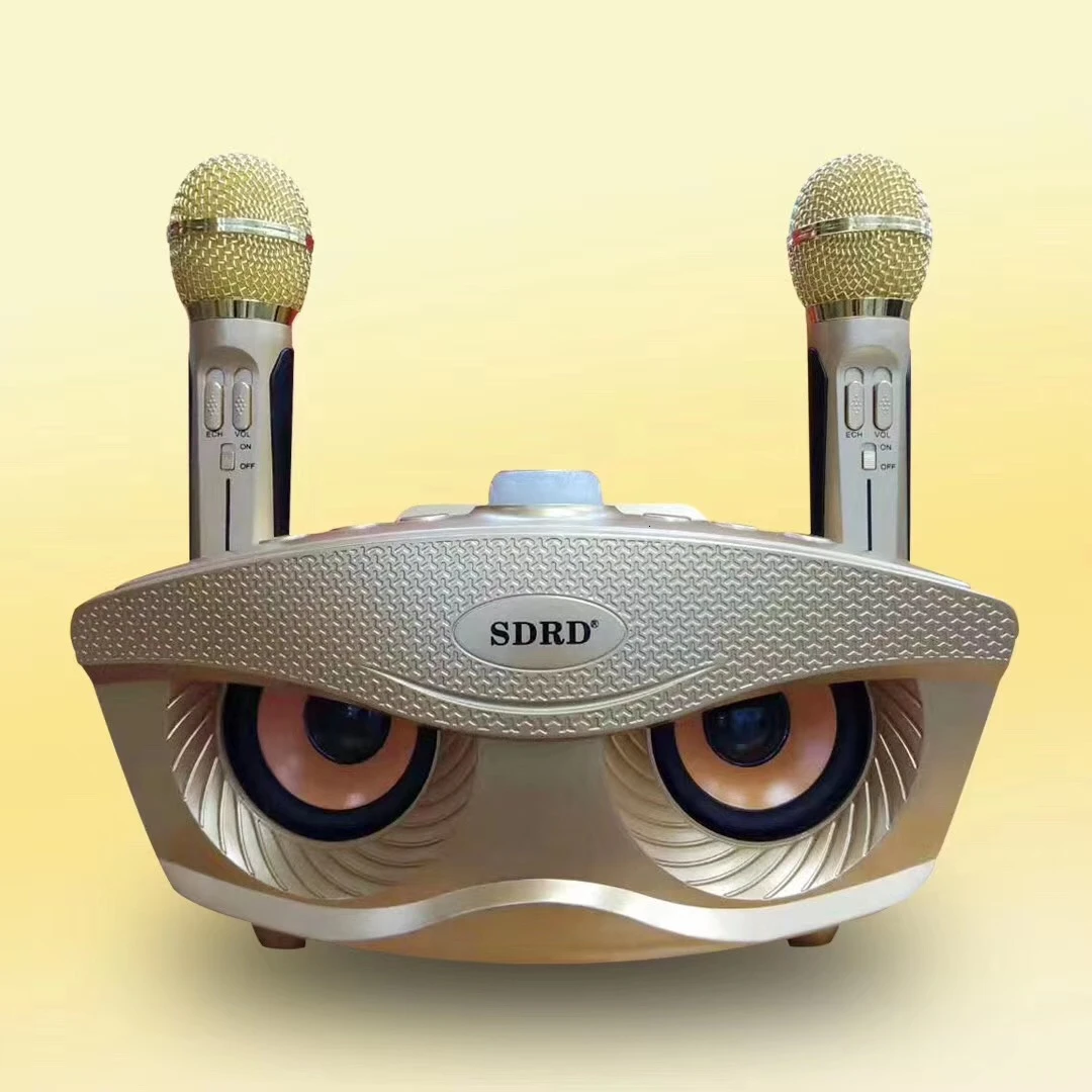 SD306 двойной Bluetooth динамик с 2 беспроводными микрофонами Открытый Семейный KTV стерео микрофон большой звук 20 Вт SDRD Sd 306 набор динамиков