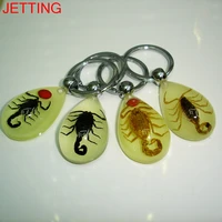 1 pc insect keyring keychain jewelry scorpion glow lucite taxidermy gift