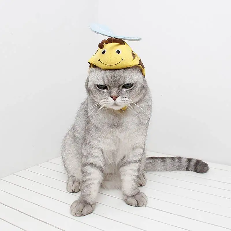 Костюм для хеллоуина, косплей, божья коровка/пчелиная шапка, шляпа для кошки, Хэллоуин, Рождественская одежда, Нарядная шапка