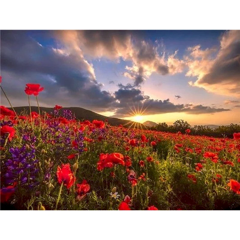 

GATYZTORY 40x50cm Painting By Number Canvas Kits Flower Handpainted Gift DIY Pictures By Numbers Scenery Home Decoration