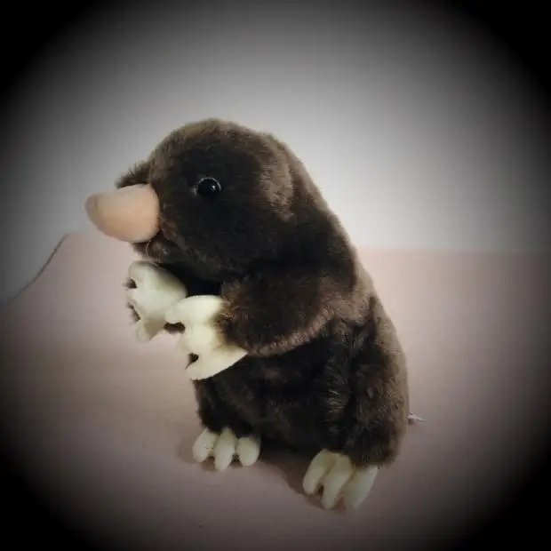 Дикая крот-крыса моделирование животных игрушки плюшевые куклы детский подарок