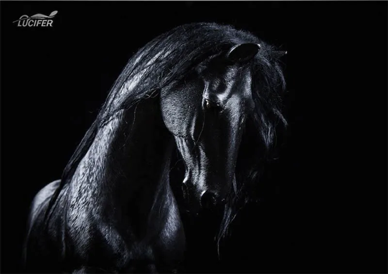 

LUCIFER LXF1905B1 1/6 Black Horse with Harness Fit 12'' Soldier Action Figure Dolls