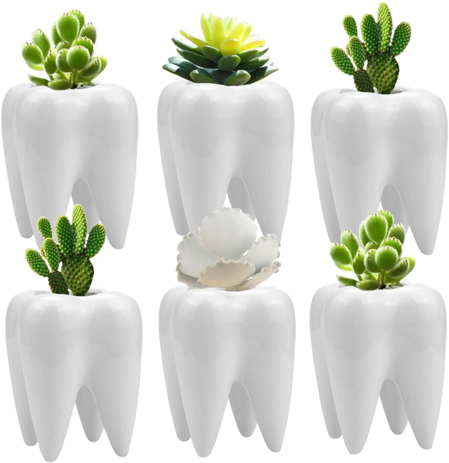 Artificial Cactus plant pot cups planter for succulents natural flowers white ceramic Tooth Shape Flower Pot Garden Bonsai decor