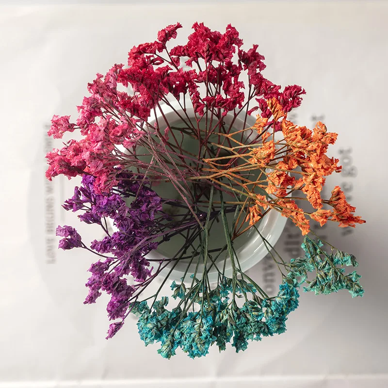 

120pcs Pressed Dried Flower Plumbaginaceae Limonium Herbarium Epoxy Resin Lamp Nail Art Jewelry Bookmark Phone Case Card DIY