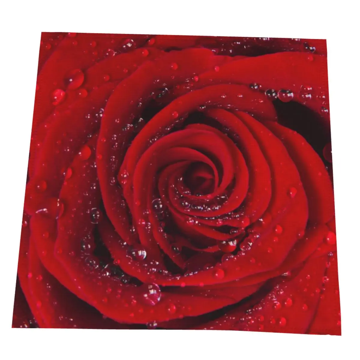 

4PCS/6PCS Red Rose Petals With Rain Drops Napkins Cocktail Napkin For Party Wedding Table Cloth 50CM Polyester Napkins
