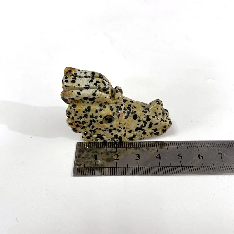 2 дюйма Dalmation яшма череп резной Клык дракона фигурка для украшения