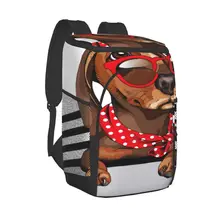 Protable Insulated Thermal Cooler Waterproof Lunch Bag Dachshund With Neck Scarf Picnic Camping Backpack Double Shoulder Bag