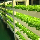 Светодиодсветильник для выращивания цветов, 2x90 см, 2 линии, T8, гидропоника, набор аксессуаров, лампа для овощей