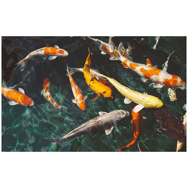 

DIY Diamond Painting Diamond Embroidery Round Resin Diamond Cross Stitch Home Wall Decor 30X40cm,Koi Pool