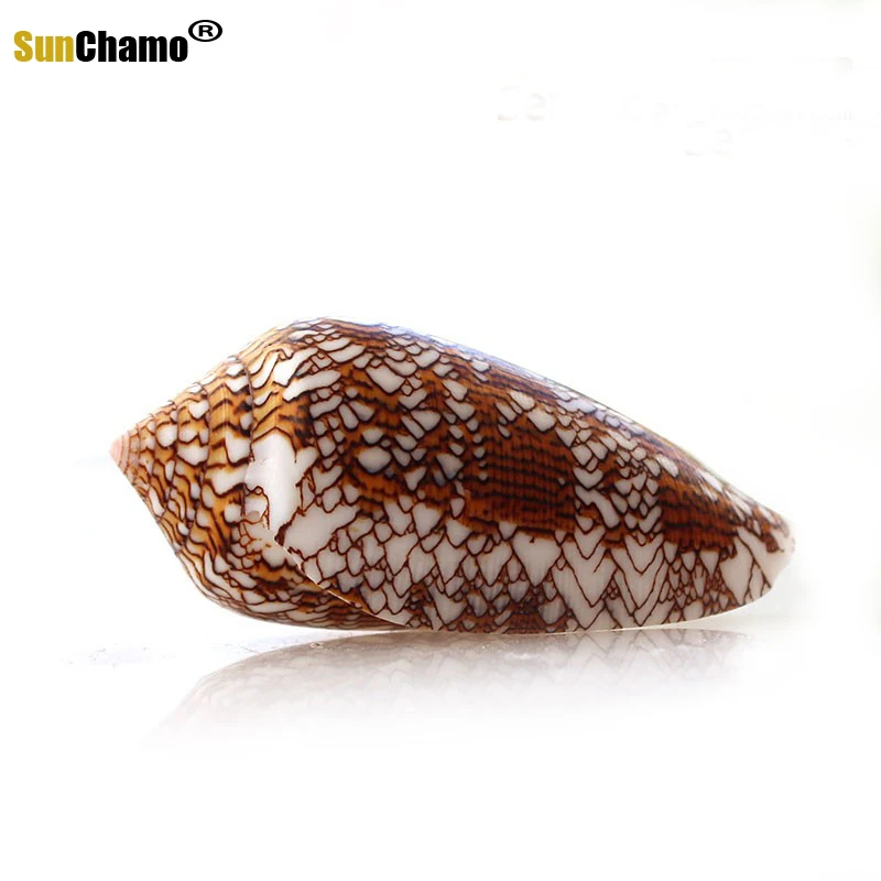 Новая ваза с винтовым плетением раковина из натуральной раковины украшение для