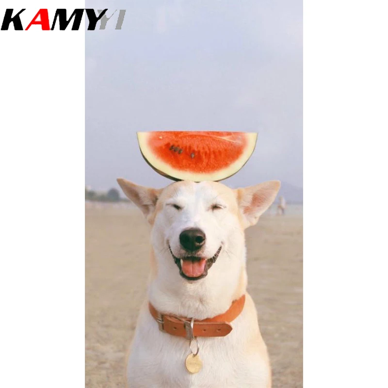 

KAMY YI 5D DIY камни в форме ромба/круглый алмазов картина Алмазная вышивка собаки вышивки дома подарок
