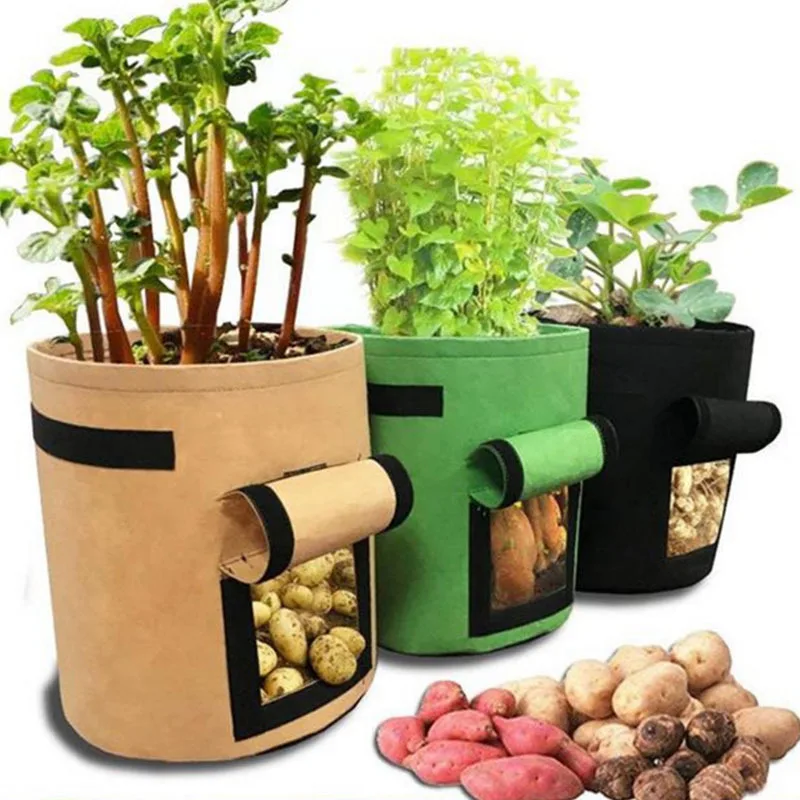 

Bolsas de cultivo de plantas de 3, maceta de patatas para el hogar, invernadero, bolsas para cultivo de verduras,