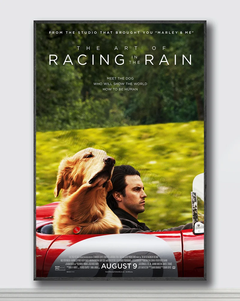 NJ009 искусство гонок в дождь фильм Шелковые Плакаты и принты настенный