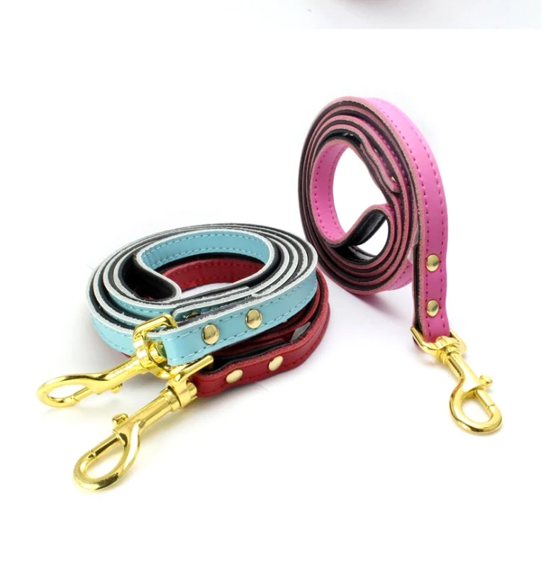 SimpleDog ошейник 11 цветов персонализированные ошейники для домашних питомцев