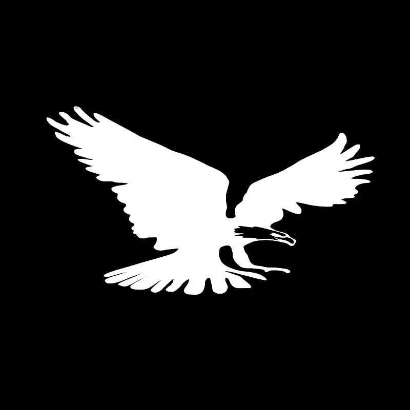 Летающий для Авто/бампер/окно виниловая наклейка наклейки DIY Декор CT402|Наклейки