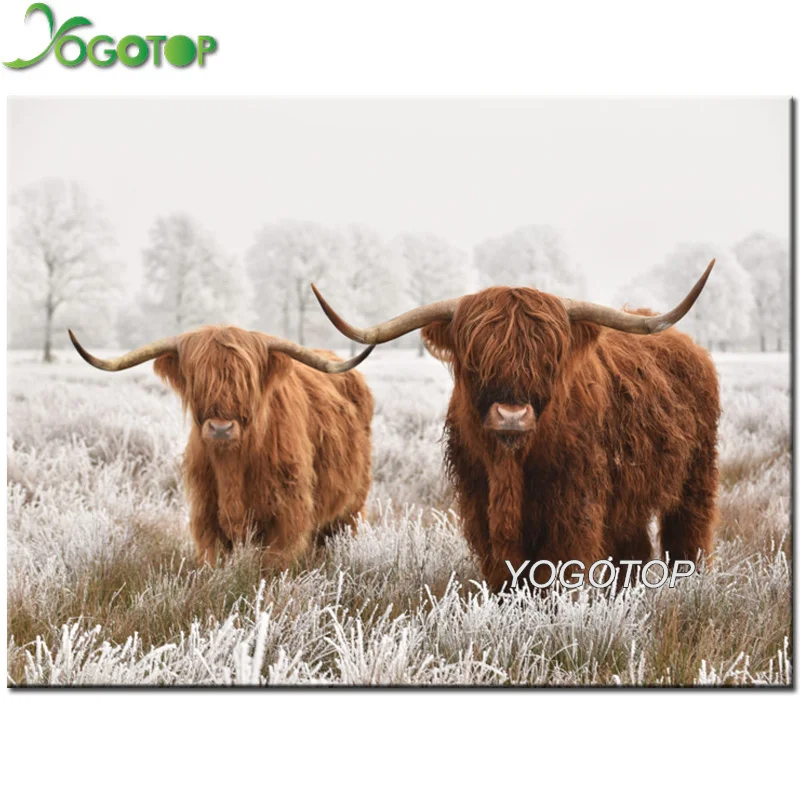 5D DIY алмазная живопись Highland корова Полный Стразы сверла вышивка мозаика крупного