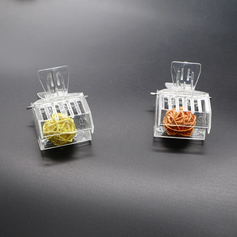 50 шт. клетка для королевской пчелы пластиковый зажим клетки Apis cerana mellifera