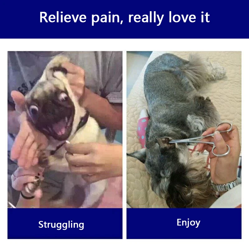 Порошок для удаления волос в виде собачьих ушей порошок чистки Тедди золотой