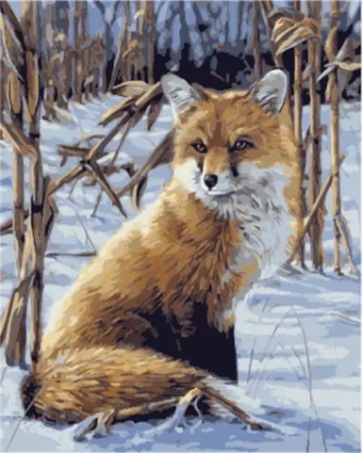 DRAWJOY Fox рамка DIY масляная краска Краска по номерам на холсте Раскраска для