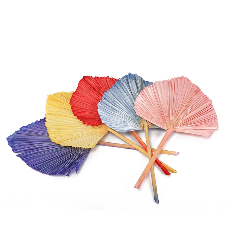 

1 Pc Dried Flower Rush Fan Leaf Palm Leaf Home Decor Wedding Decoration Ins Nordic Style Mariag Natural Dry Branches And Leaves