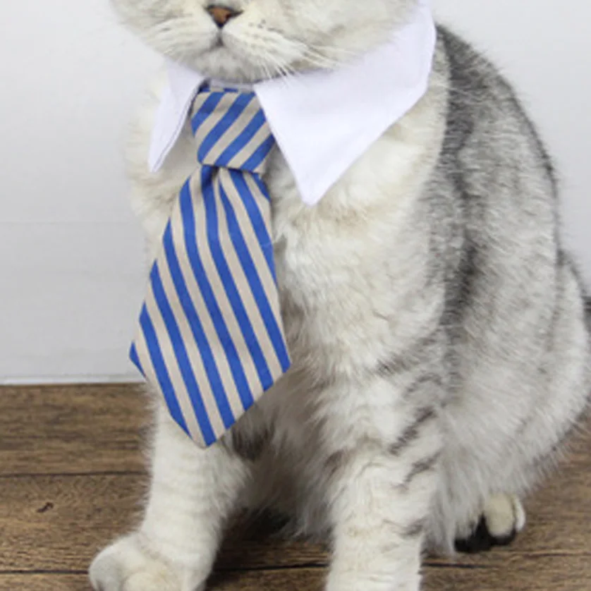 Галстук для собак уход за собакой полосатый шейный галстук ошейник домашних
