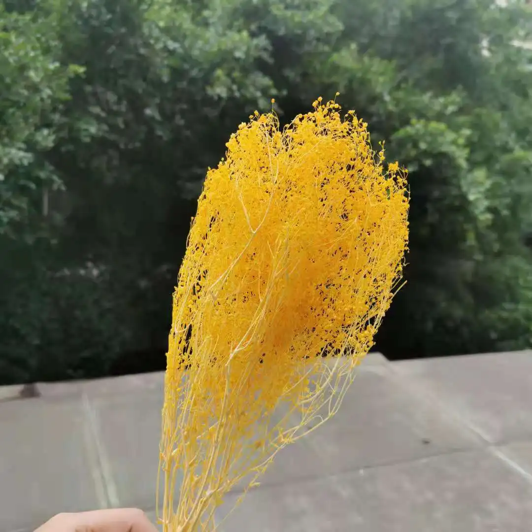 10 г/бутон натуральный сушеный консервированный цветок Babysbreath миниатюрный букет