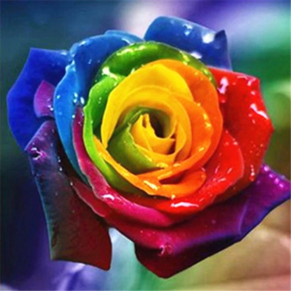 flower 4043 AZQSD Алмазная Вышивка Цветы ручная работа алмазная картина Роза картина Стразы Алмазная мозаика домашний декор ремесла подарок - Цвет: flower 4043
