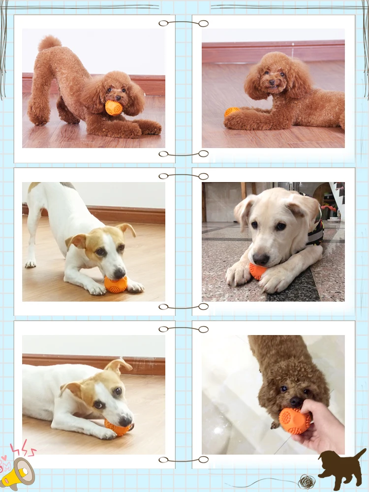 Собаки собаки игрушки грызуны щенки плюшевые лабрадоры дрессировка вокала