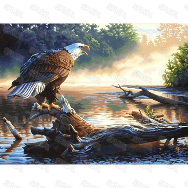 

Diy Diamond Painting Modern Wild Animals Birds Birds Hawk Parrots White Doves Personality Creative Niche Hanging Paintings