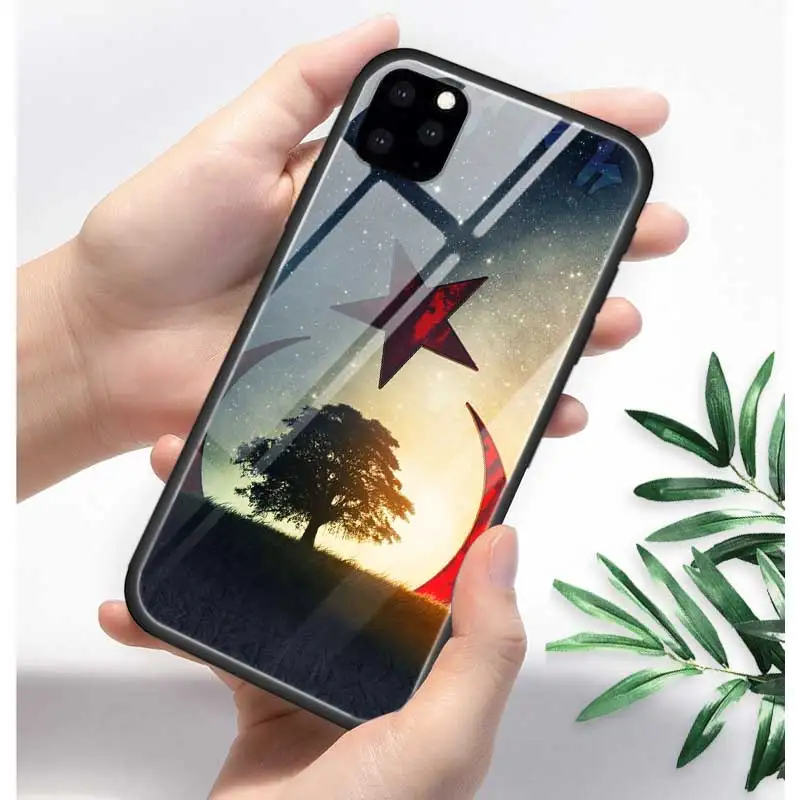 Турция турецкий чехол с флагом для Apple iphone 11 Pro XR XS Max X 7 8 6 6S Plus закаленное стекло+ черный силиконовый чехол для телефона Coque Sac