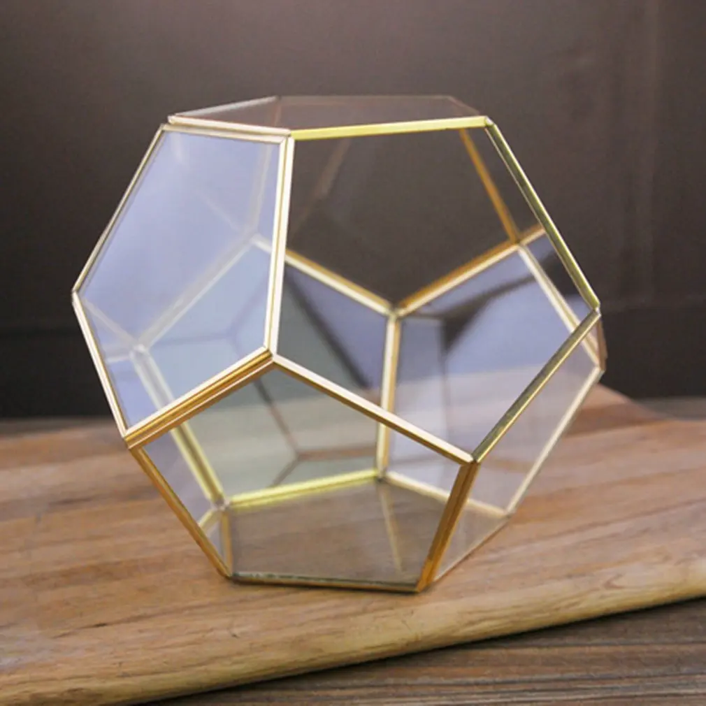 Dodecahedron стеклянный парник зеленое растение прозрачный креативный мох микро
