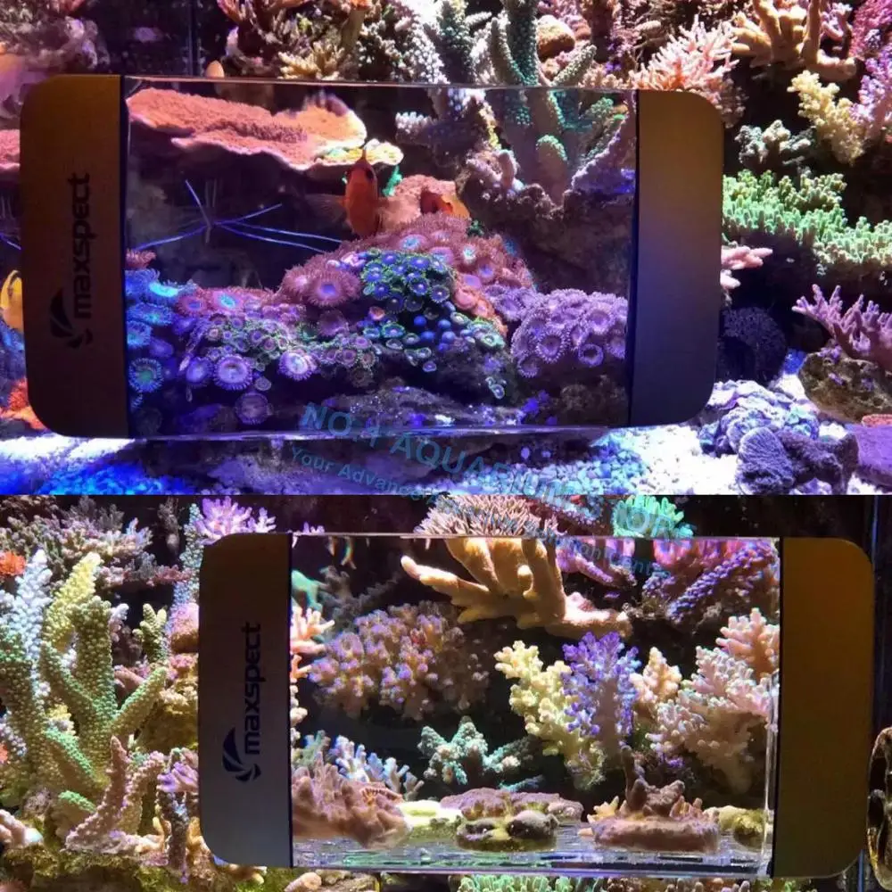 Maxspect Fragnifier аквариум увеличительный зритель водоросли Megnetic очиститель Frag стойки с магнитным креплением для морских/рифовых резервуаров