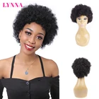 Короткие кудрявые афро вьющиеся парики Lynna, бразильские человеческие волосы, парики для чернокожих женщин, танцевальные волосы, бесплатная доставка