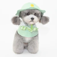 round brim princess cap visor hat pet dog sun cap for small extra small dog teddy pug chihuahua shih tzu yorkshire terriers
