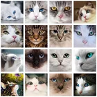 Алмазная живопись в 25 стилях с изображением животных, кошек, домашних животных, вышивки крестом, ручной работы, мозаика, Декор для дома, художественный подарок