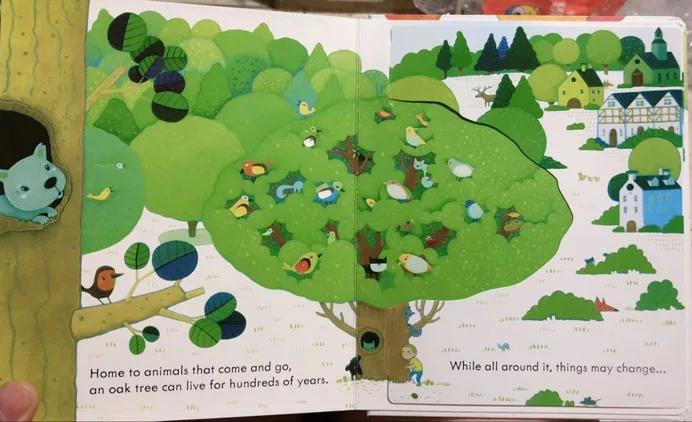 Заглянуть Внутри A Дерево Английский Образовательный 3D Откидная створка Картинка Книги Ребенок Дети Чтение Книга