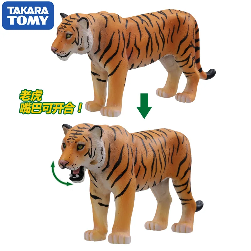 Takara Tomy ANIA Animal Advanture AS 30 Тигр дикая АБС фигурка детские развивающие игрушки|Игровые
