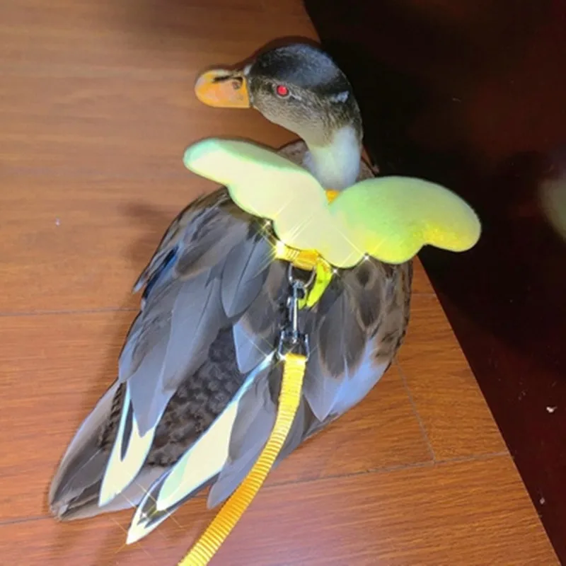 

Adjustable Duck Cats Rabbit Harness with Leash for Cats Duck Goose Hen Training Walking
