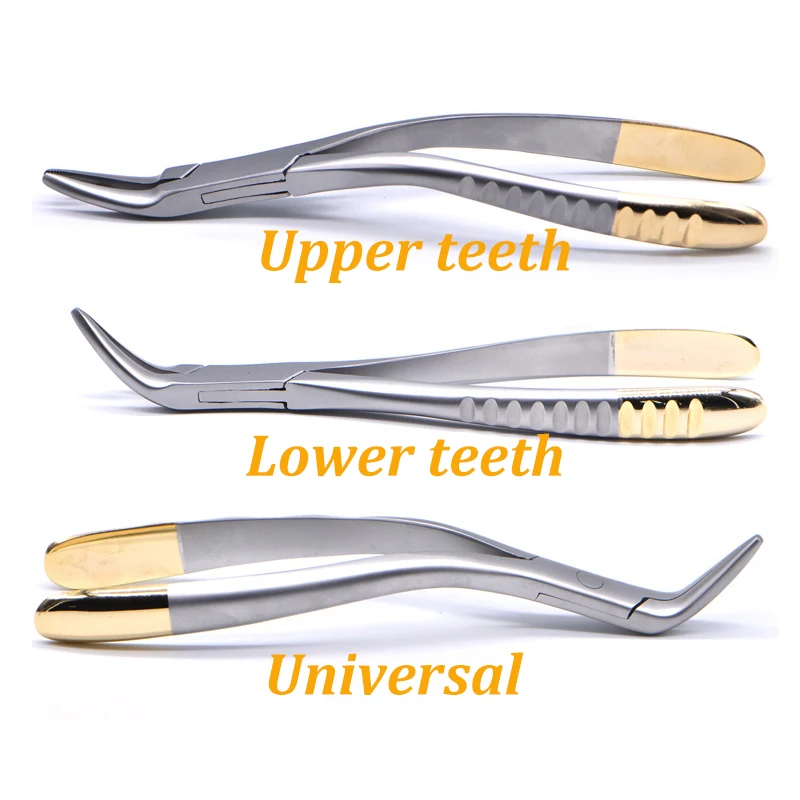Dental Forcep Root Fragment Minimally Invasive Extraction Tooth Pliers Instrument Curved Maxillary Mandibular Teeth