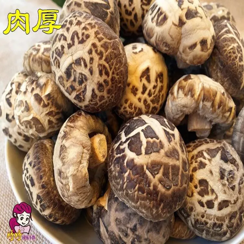 

Wild organic dried mushrooms, dried mushrooms to prevent disease, dried mushrooms, natural health foods that delay aging