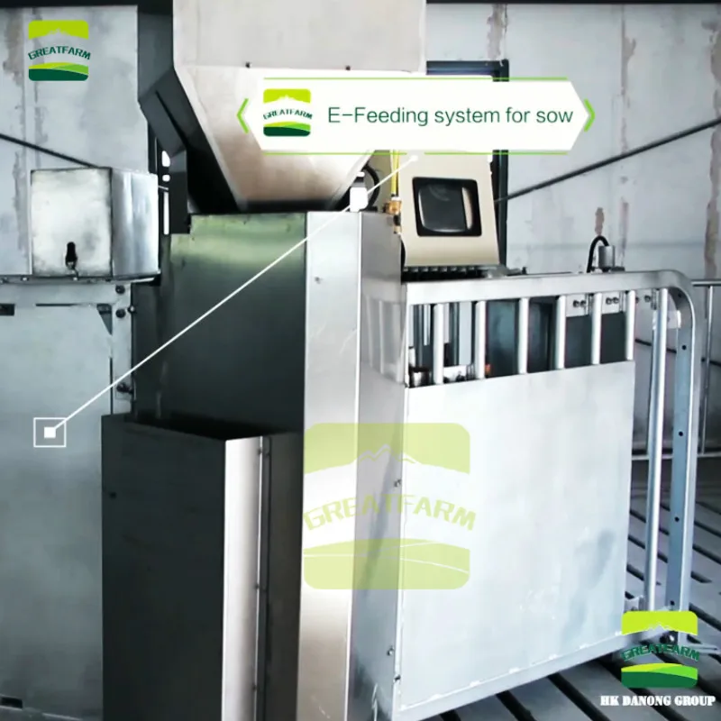 Китайская Современная свинья ферма с полностью автоматизированной системой