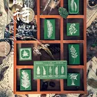 Листья папоротника, деревянные и резиновые штампы растений, декоративные, установленные комплект резиновых штампов для самостоятельного изготовления дневник писем